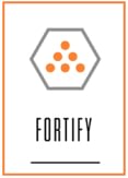 Fortify Image