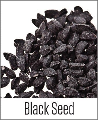MOA Black seed picture