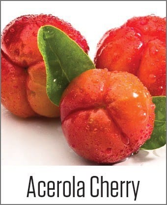 Acerola cherry picture