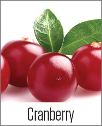 MOA Cranberry